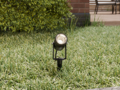 Uzmanības centrā Uzmanības centrā